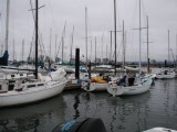 Tunas at the EYC