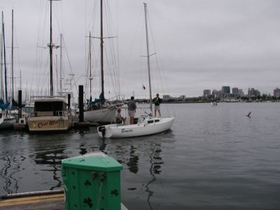 Bonito heading out into the Estuary