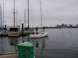 Bonito heading out into the Estuary