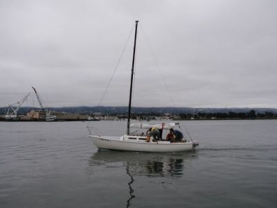 Elaine in the Estuary