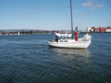 Elaine returns to the Encinal YC