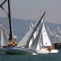 Duking it out under the Oakland Bridge