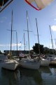 Back at the Encinal YC