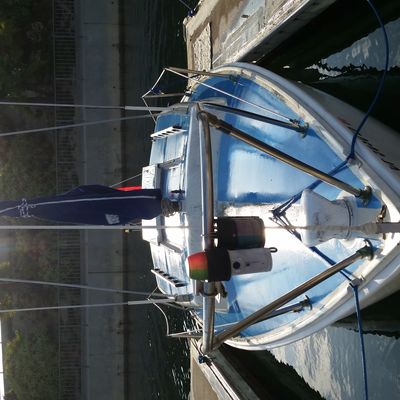 for sale $1500.00
